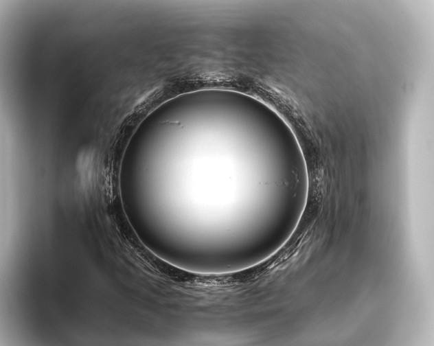 X0000096401205200801241154