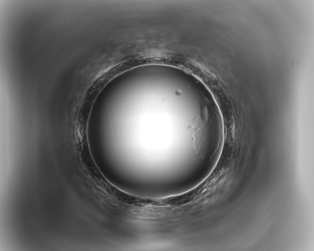 X0000096401206200801241154