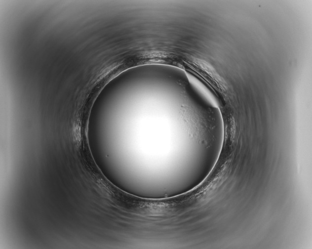 X0000096401209200801241154