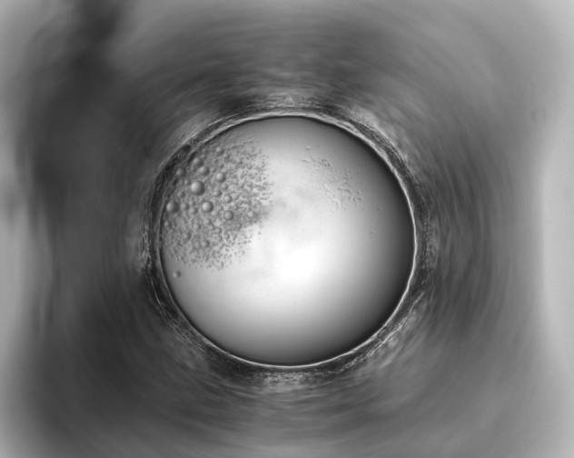 X0000096401211200801241154