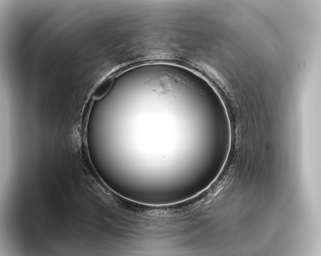 X0000096401212200801241154