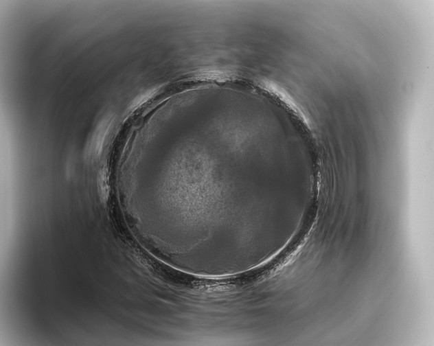 X0000096401213200801241154