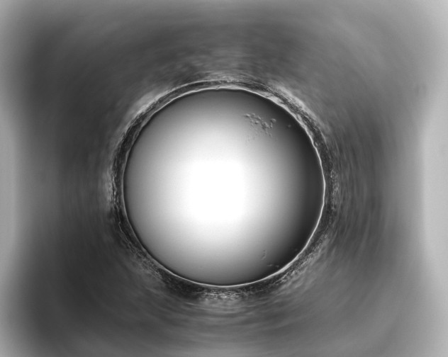 X0000096401215200801241154