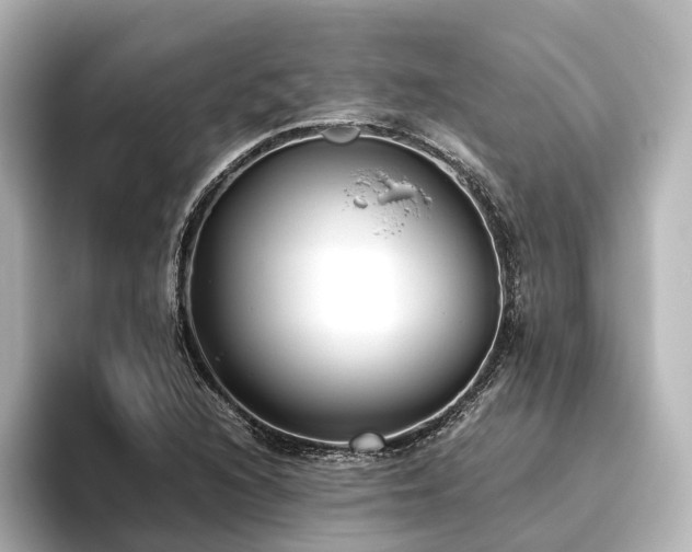 X0000096401216200801241154