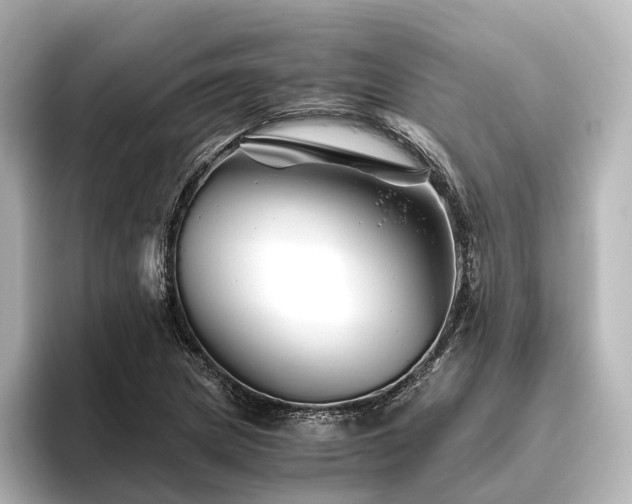 X0000096401217200801241154