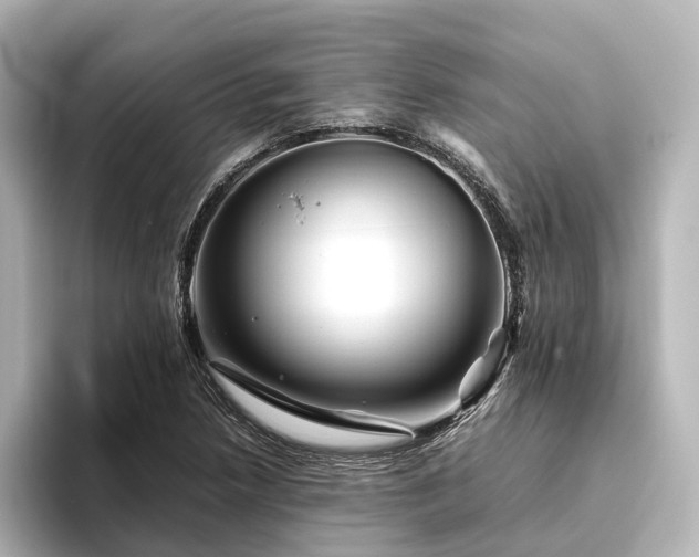 X0000096401218200801241154