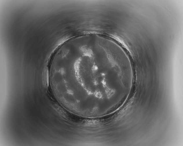 X0000096401219200801241154