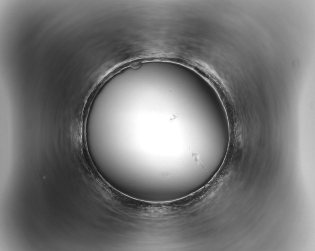 X0000096401220200801241154