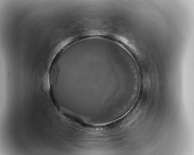 X0000096401221200801241154