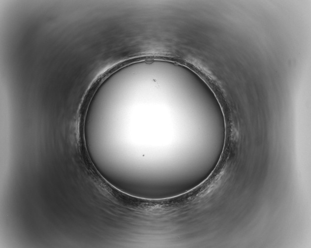 X0000096401222200801241154