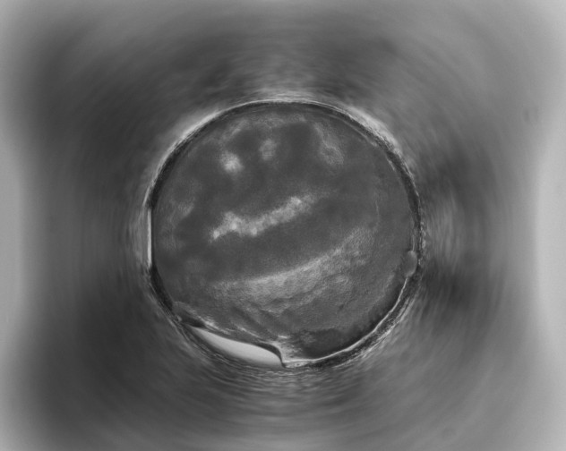 X0000096401223200801241154