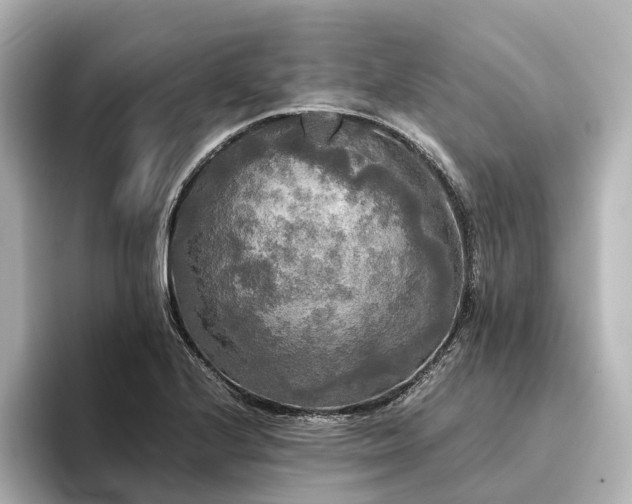 X0000096401224200801241154