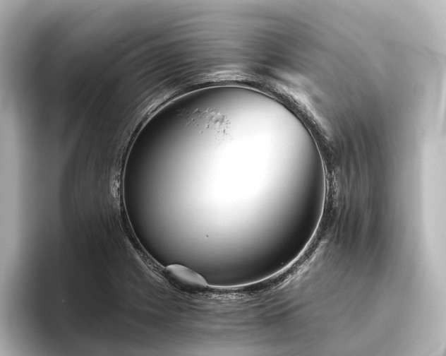 X0000096401225200801241154