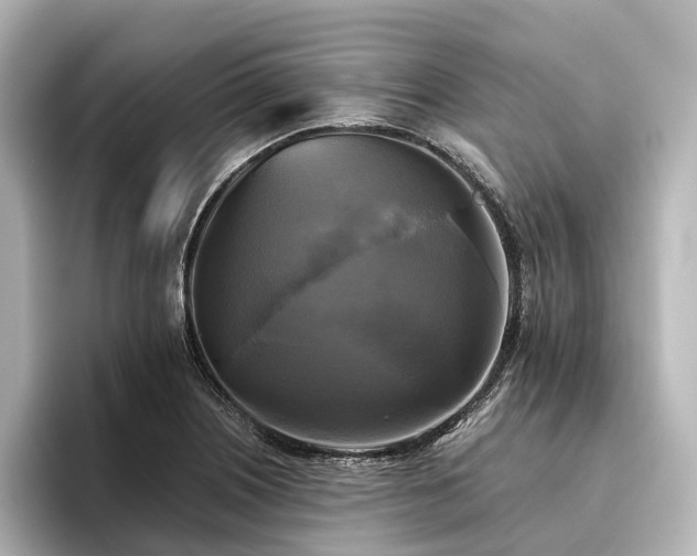 X0000096401226200801241154