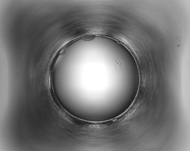 X0000096401227200801241154