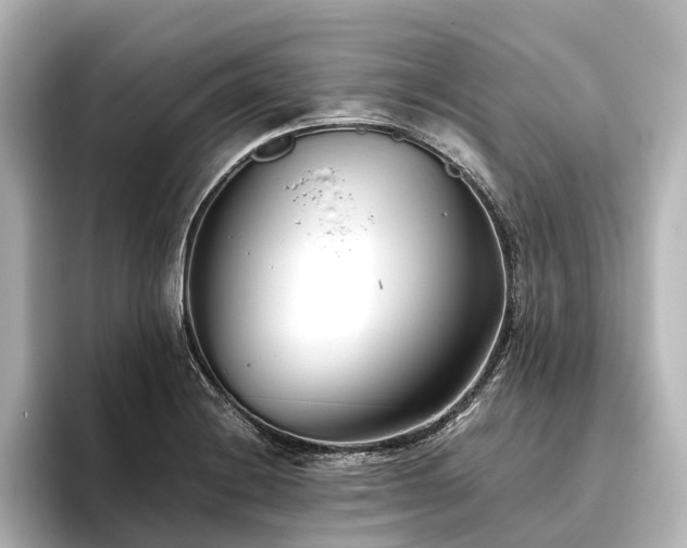 X0000096401228200801241154