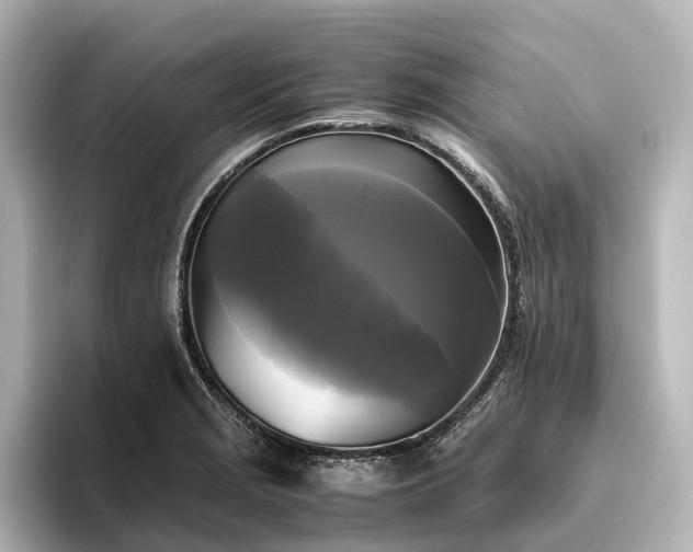 X0000096401229200801241154