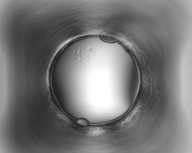 X0000096401230200801241154