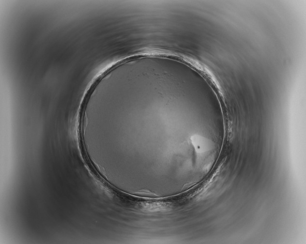 X0000096401231200801241154