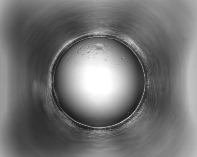 X0000096401232200801241154