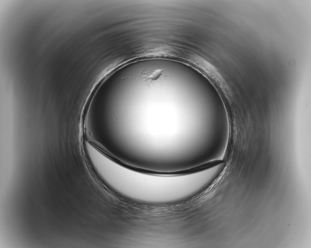 X0000096401234200801241154