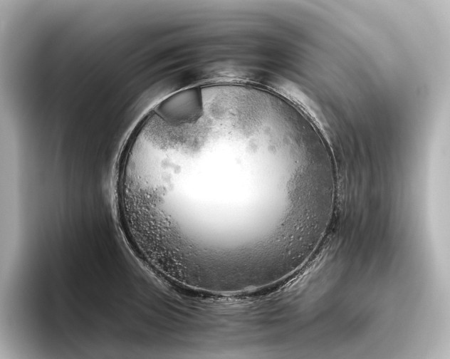 X0000096401235200801241154