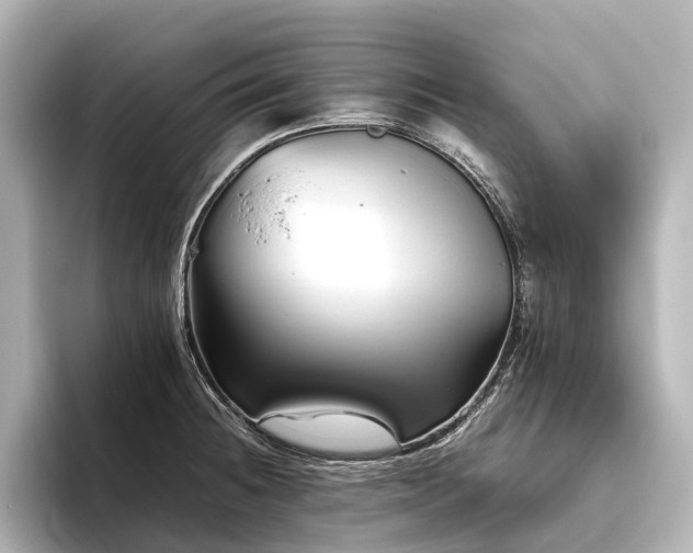 X0000096401236200801241154