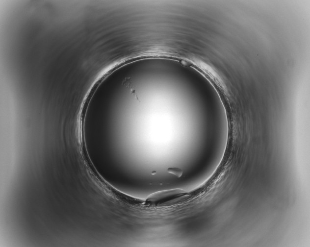 X0000096401238200801241154