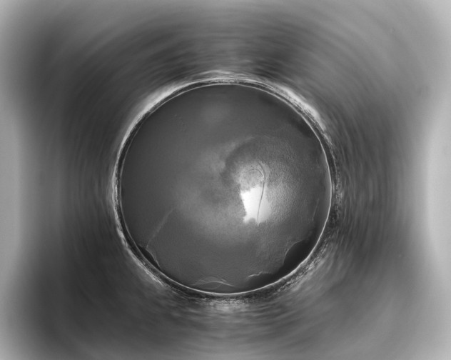 X0000096401239200801241154