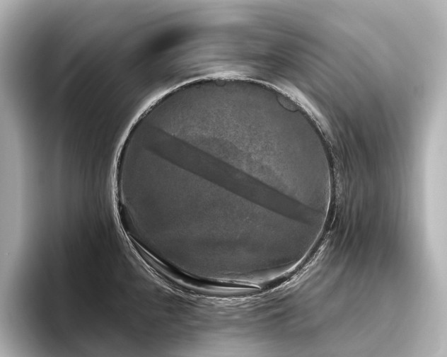 X0000096401240200801241154