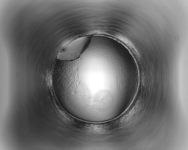 X0000096401241200801241154