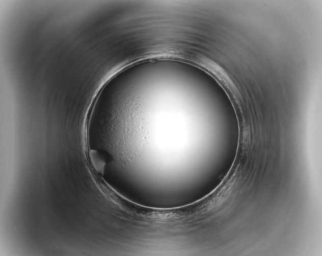 X0000096401242200801241154