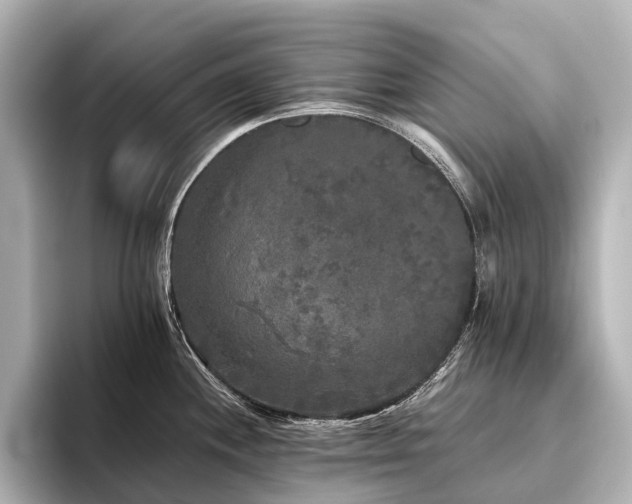 X0000096401244200801241154