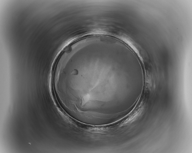 X0000096401245200801241154