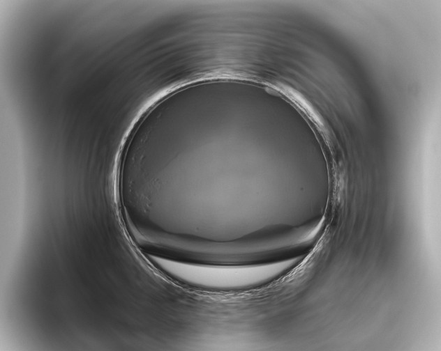 X0000096401246200801241154