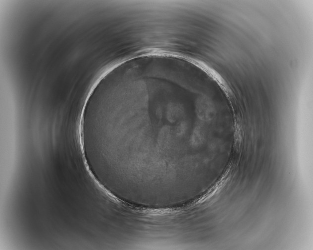 X0000096401247200801241154