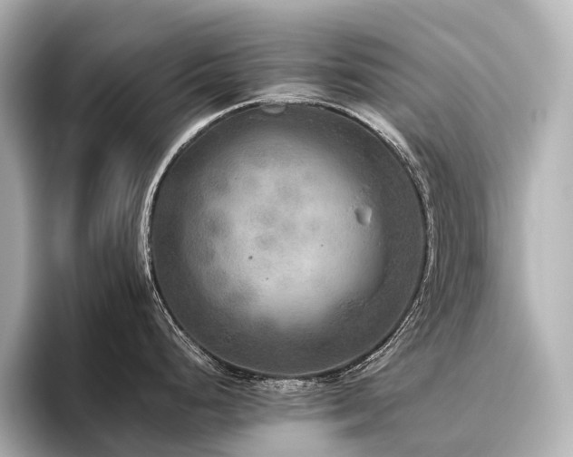 X0000096401248200801241154