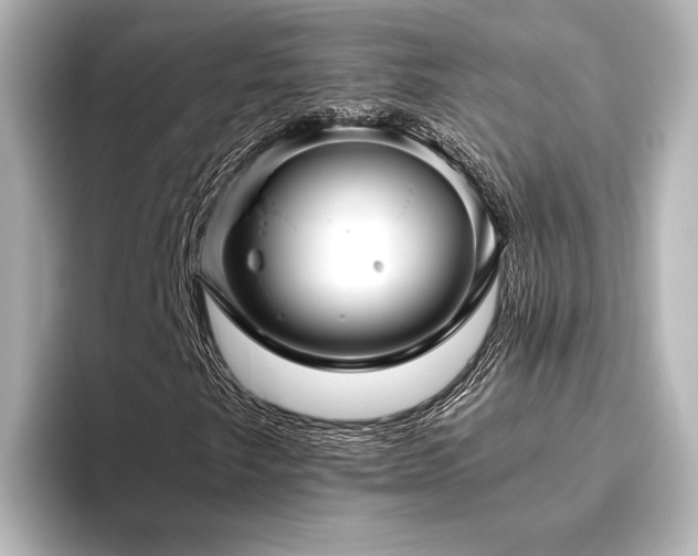 X0000096401249200801241154