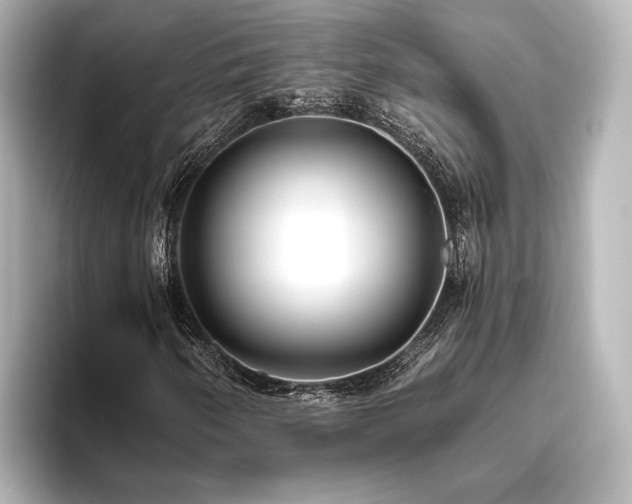 X0000096401250200801241154