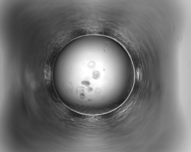 X0000096401251200801241154