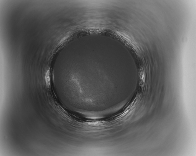 X0000096401252200801241154