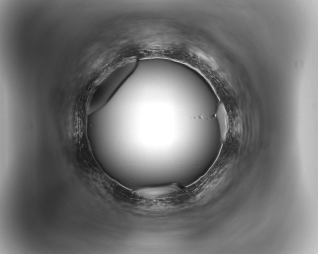 X0000096401253200801241154