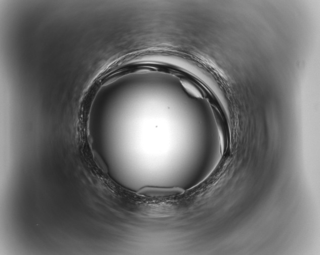 X0000096401256200801241154