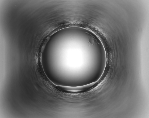 X0000096401257200801241154