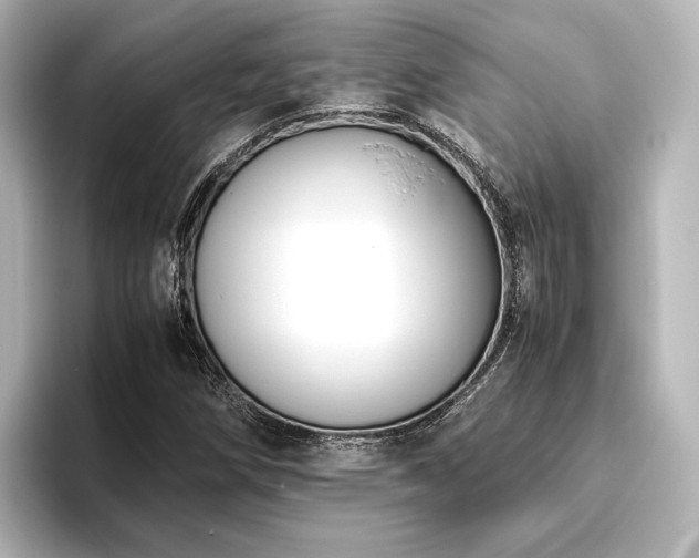 X0000096401258200801241154