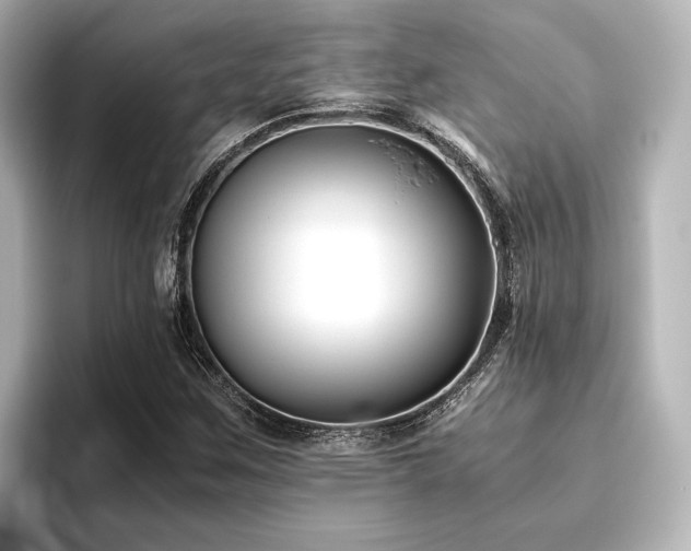 X0000096401259200801241154