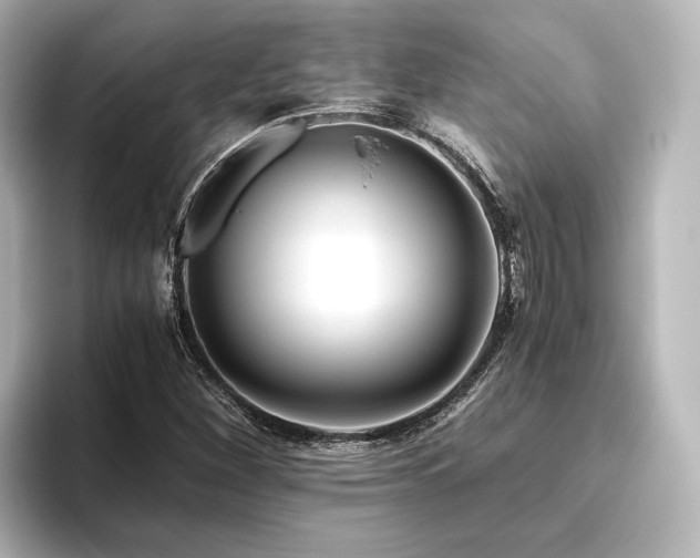 X0000096401260200801241153