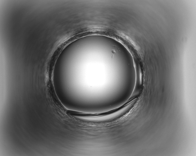 X0000096401261200801241153