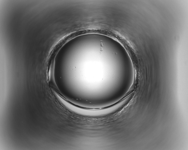 X0000096401262200801241153