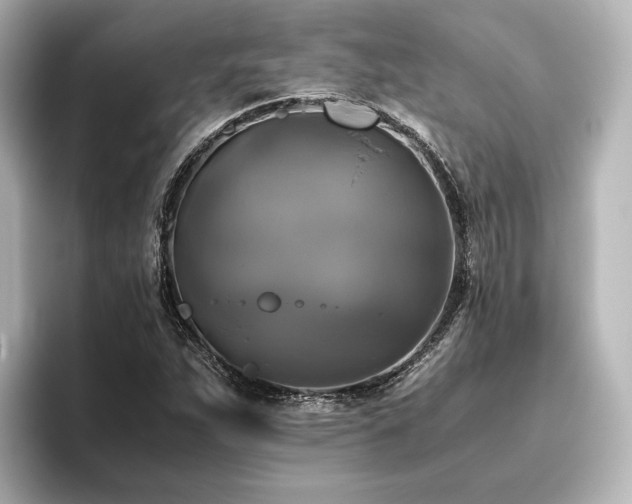 X0000096401263200801241153